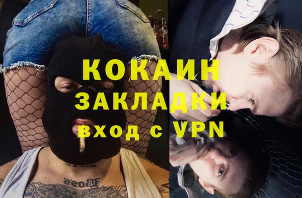 шишки Богородицк