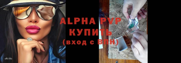 шишки Богородицк