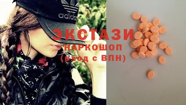 шишки Богородицк