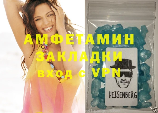 шишки Богородицк
