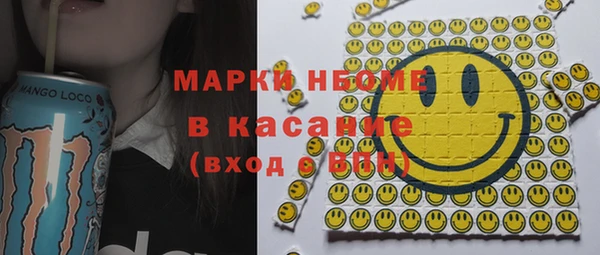 шишки Богородицк