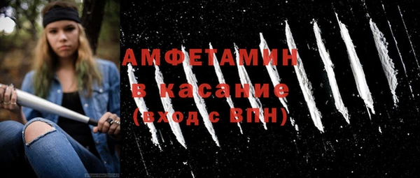шишки Богородицк