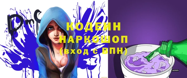шишки Богородицк