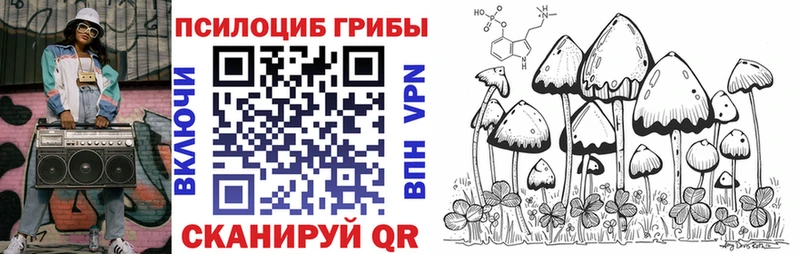 Псилоцибиновые грибы Psilocybe  купить наркотики цена  Бутурлиновка 